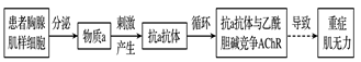 www.xiangpi.com