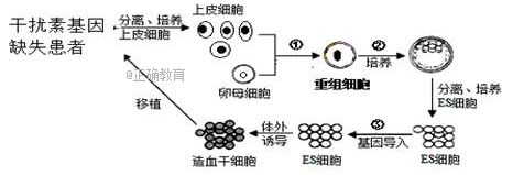 www.xiangpi.com