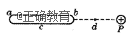 www.xiangpi.com