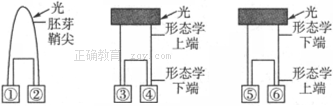 www.xiangpi.com