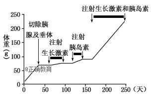 www.xiangpi.com