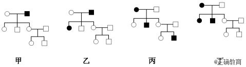 www.xiangpi.com