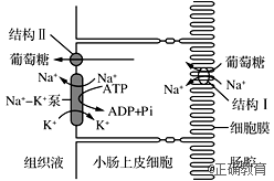 www.xiangpi.com