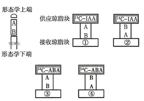 www.xiangpi.com