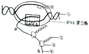 www.xiangpi.com