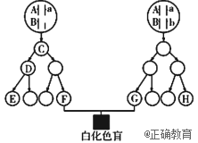 www.xiangpi.com