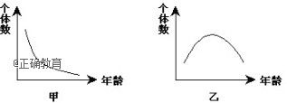 www.xiangpi.com