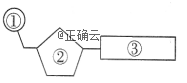 www.xiangpi.com