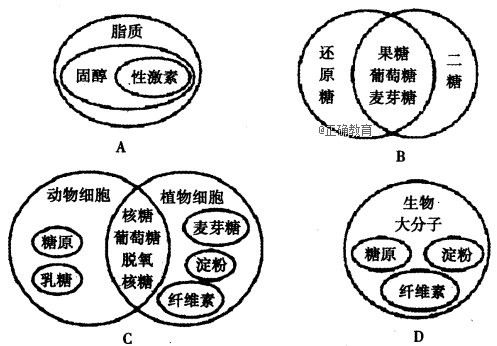 说课稿范文 生物_生物教案_高中生物教案范文