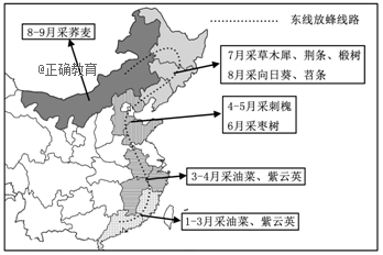 www.xiangpi.com