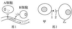 www.xiangpi.com