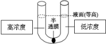 www.xiangpi.com