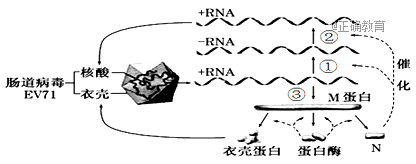 www.xiangpi.com