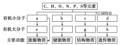 www.xiangpi.com