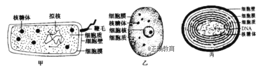 www.xiangpi.com