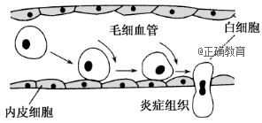 www.xiangpi.com