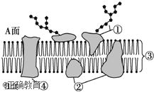 www.xiangpi.com