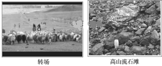 www.xiangpi.com