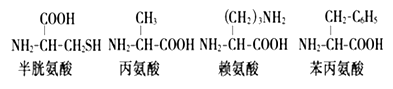 www.xiangpi.com