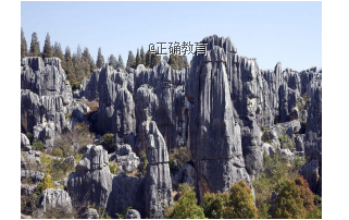www.xiangpi.com