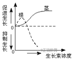 www.xiangpi.com