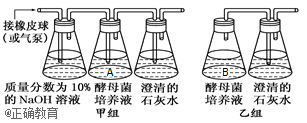 www.xiangpi.com