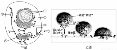 www.xiangpi.com