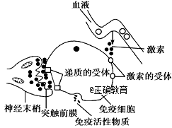 www.xiangpi.com