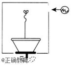 www.xiangpi.com