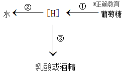 www.xiangpi.com