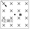 www.xiangpi.com