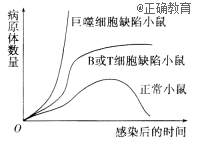 www.xiangpi.com