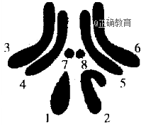 www.xiangpi.com