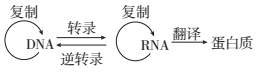 www.xiangpi.com