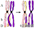 www.xiangpi.com
