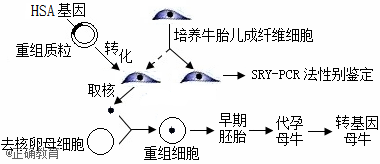 www.xiangpi.com