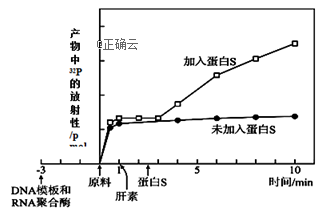 www.xiangpi.com