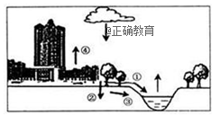 www.xiangpi.com