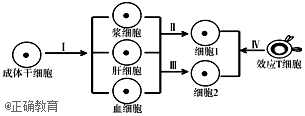 www.xiangpi.com