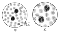 www.xiangpi.com
