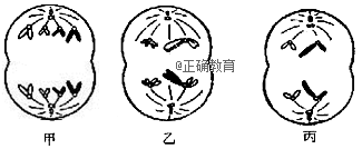 www.xiangpi.com