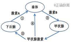 www.xiangpi.com