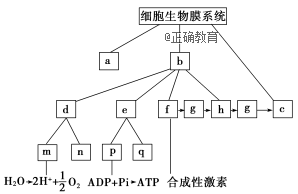 www.xiangpi.com