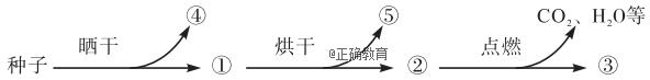 www.xiangpi.com