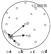 www.xiangpi.com