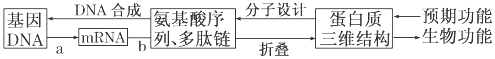 www.xiangpi.com