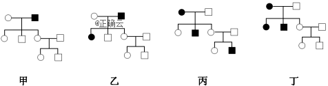 www.xiangpi.com