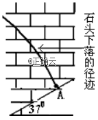 www.xiangpi.com