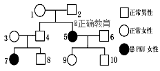 www.xiangpi.com