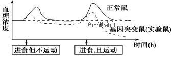 www.xiangpi.com